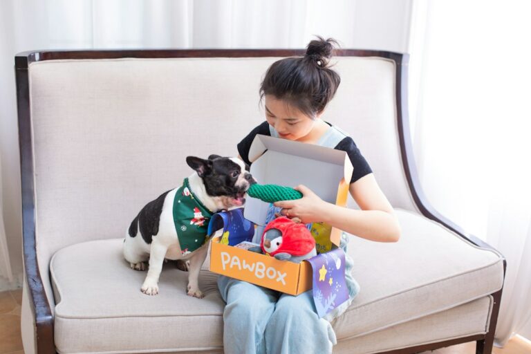 Boost Learning and Fun with Imagination’s Activity Boxes